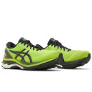 Кросівки Asics Gel Kayano 27 Lime Zest 1011A767-300