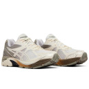Кросівки Asics GT 2160 x Dime Arctic Wolf 1201A887-100