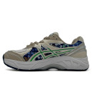 Кросівки Asics GT 2160 Winter Garden Pack 1202A439-250