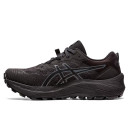 Кросівки Asics Gel Trabuco 11 Gore-Tex Black Carrier Grey 1012B425-002