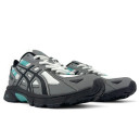 Кросівки Asics Gel Venture 6 Gore-Tex Grey 1203A245-020