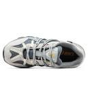 Кросівки Asics Gel Sonoma 15-50 Gore-Tex Beige Grey