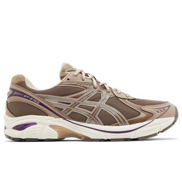 Asics GT 2160 Dark Taupe Purple 1203A320-251
