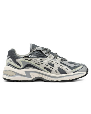 Кросівки Asics Gel Preleus Gore-Tex Termo Grey